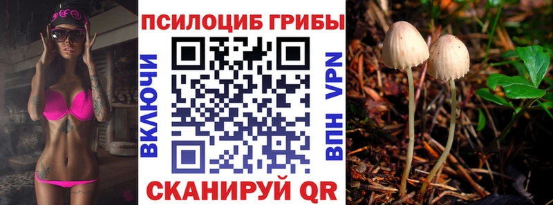 Псилоцибиновые грибы Magic Shrooms  Урюпинск 